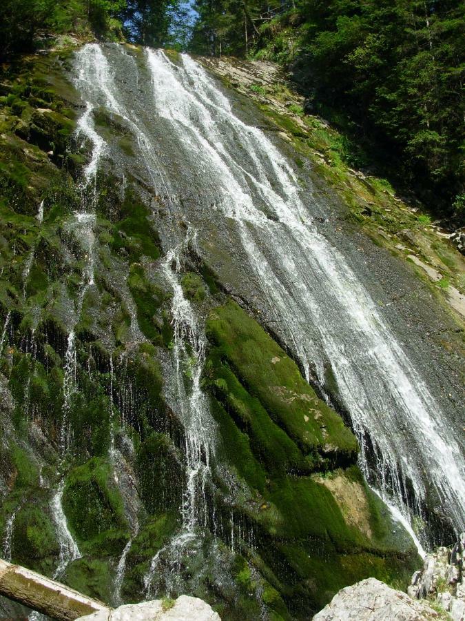 Weideblick Leilighet Tauplitz Eksteriør bilde
